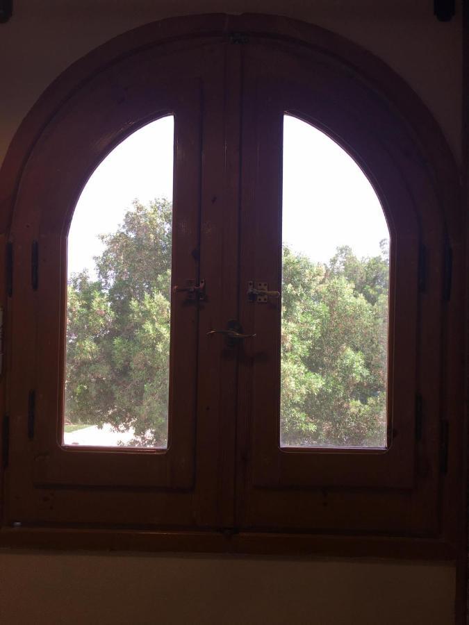 Dahab Home Bed&Breakfast Dış mekan fotoğraf